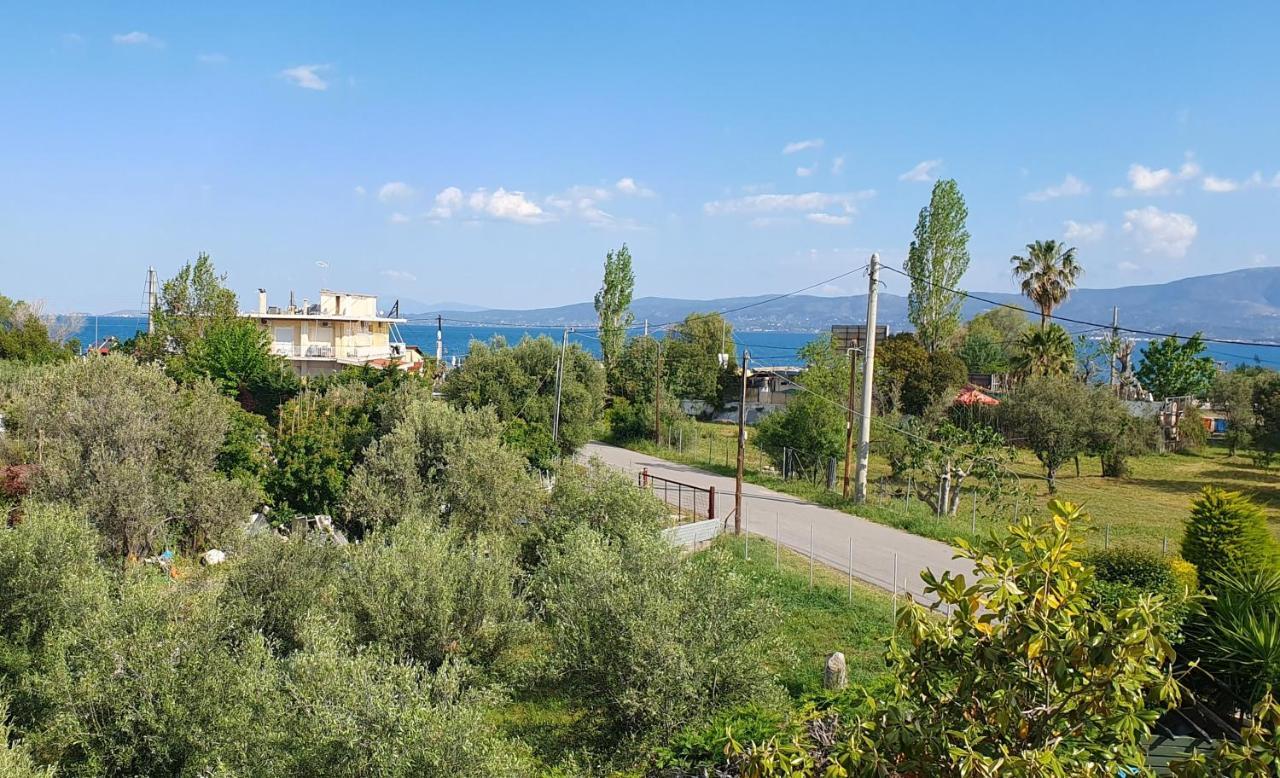 Vacation And Relaxation Home Oropos Nea Palatia Kültér fotó